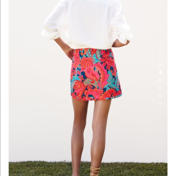 Zara || Short Printed Skirt - Picture 4 of 11